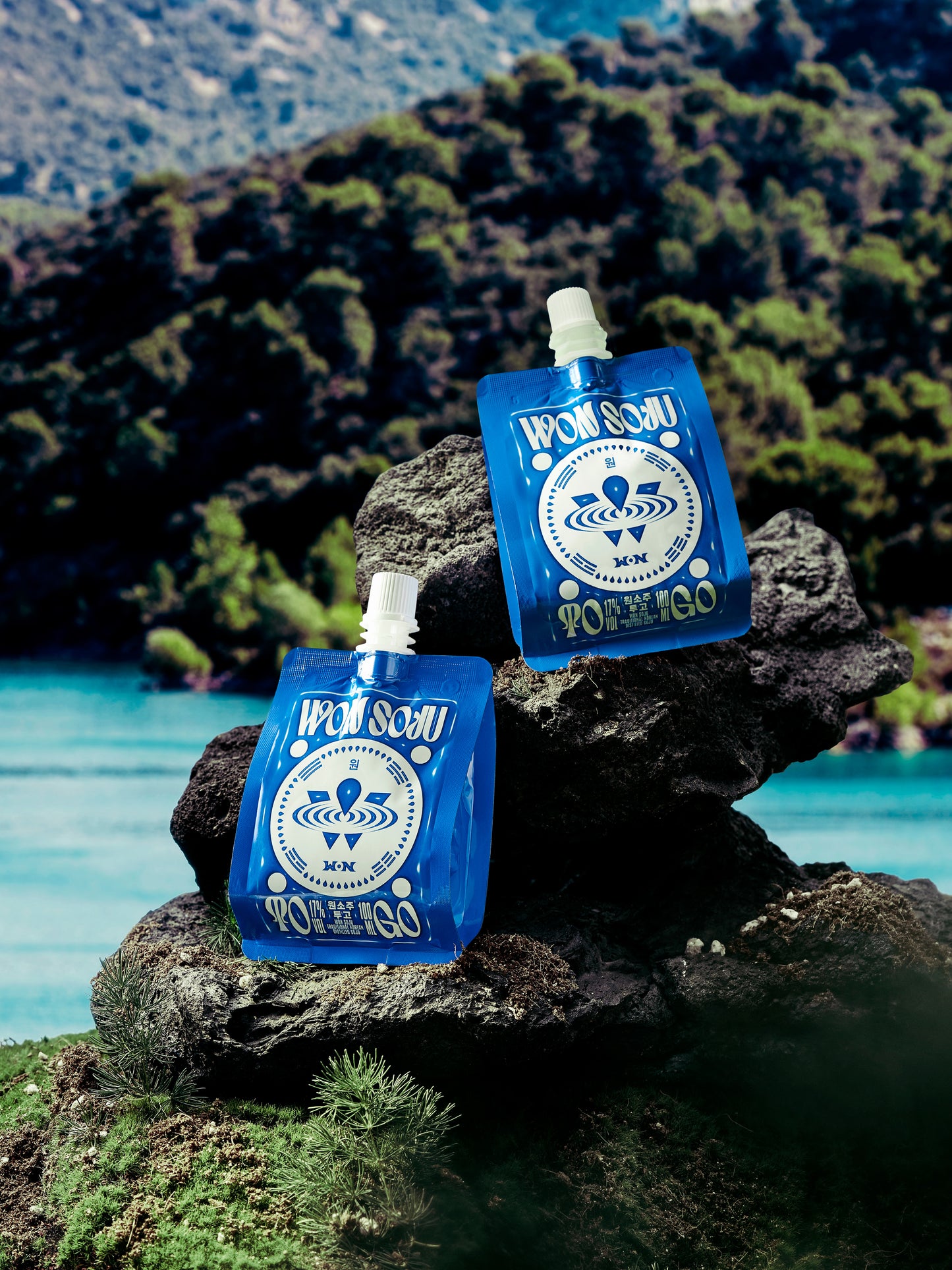WON SOJU TO GO BOX(10PACKS)